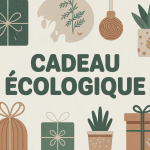 cadeau ecologique plantes objets bois emballage tissu