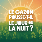 le gazon pousse la nuit ou le jour pelouse verte soleil cycle jour nuit