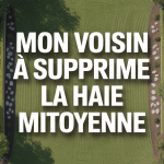 Mon voisin a enlevé la haie mitoyenne séparation jardin
