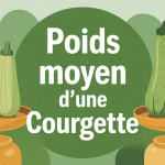 poid moyen d'une courgette sur balance