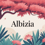 albizia arbre décoratif à fleurs plumeuses roses