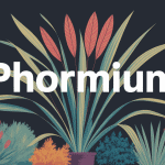 illustration phormium graphique jardin